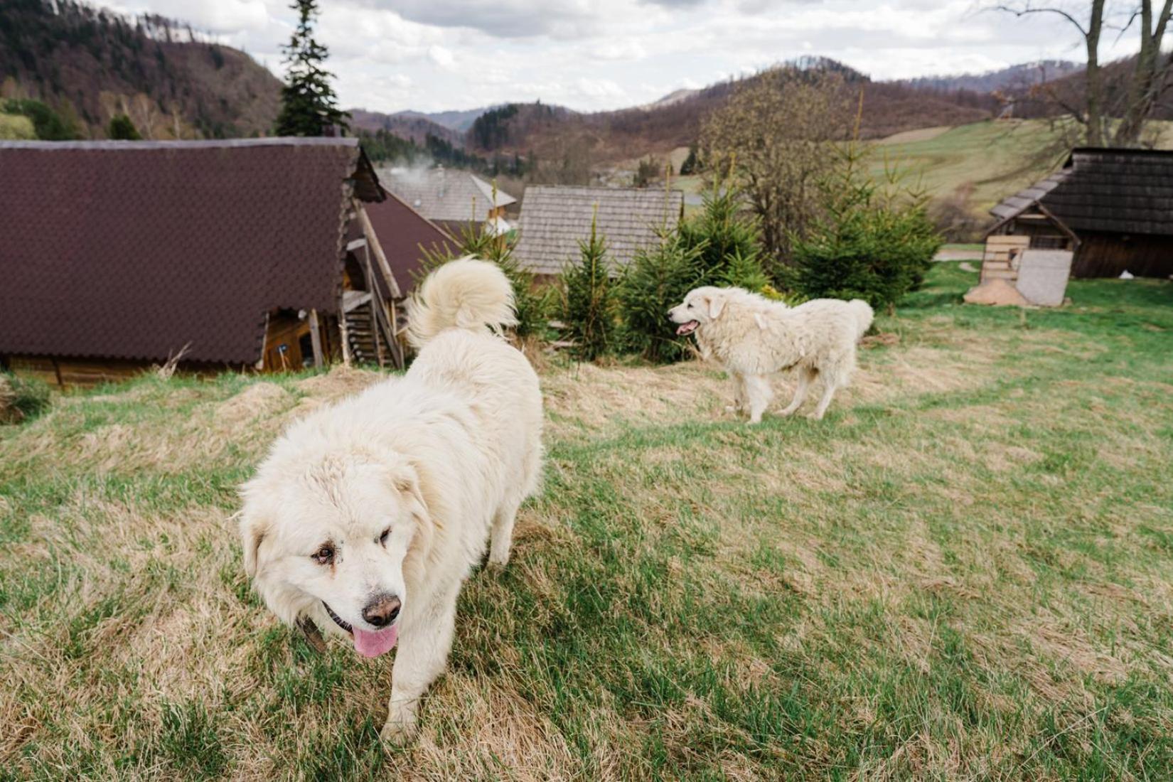 Penzion Zbojnicky Halas Tisovec ภายนอก รูปภาพ